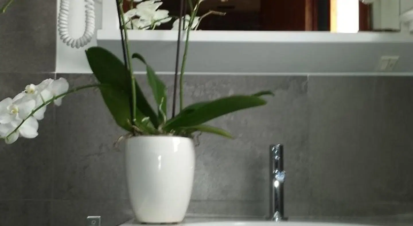 Hotel Friuli Badezimmer