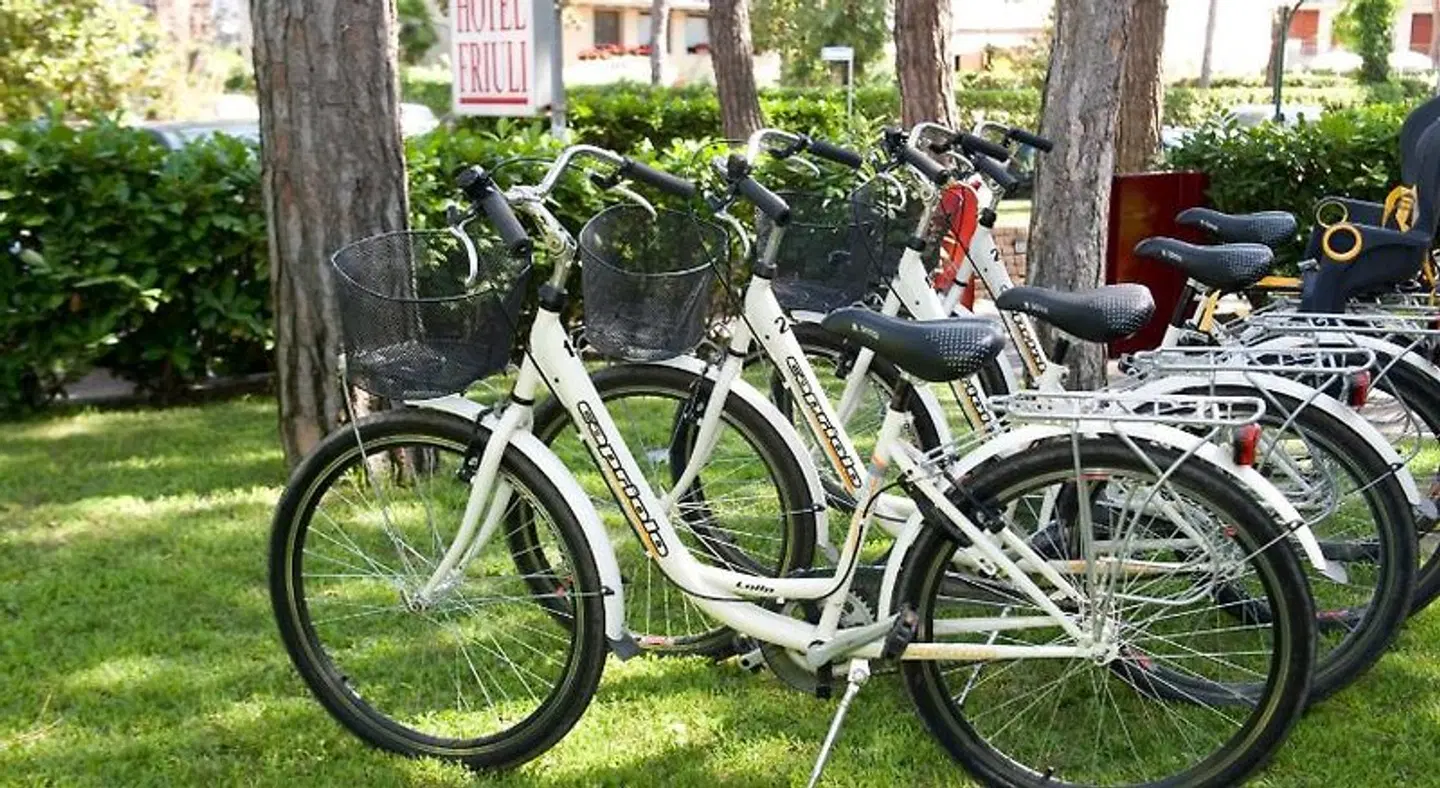 Hotel Friuli SPORTS_AND_LEISURE