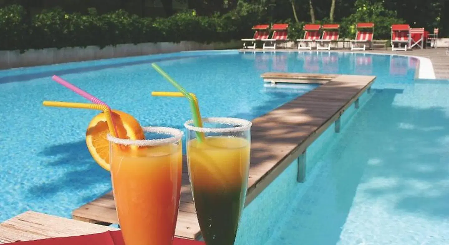 Hotel Friuli OUTDOOR_POOL