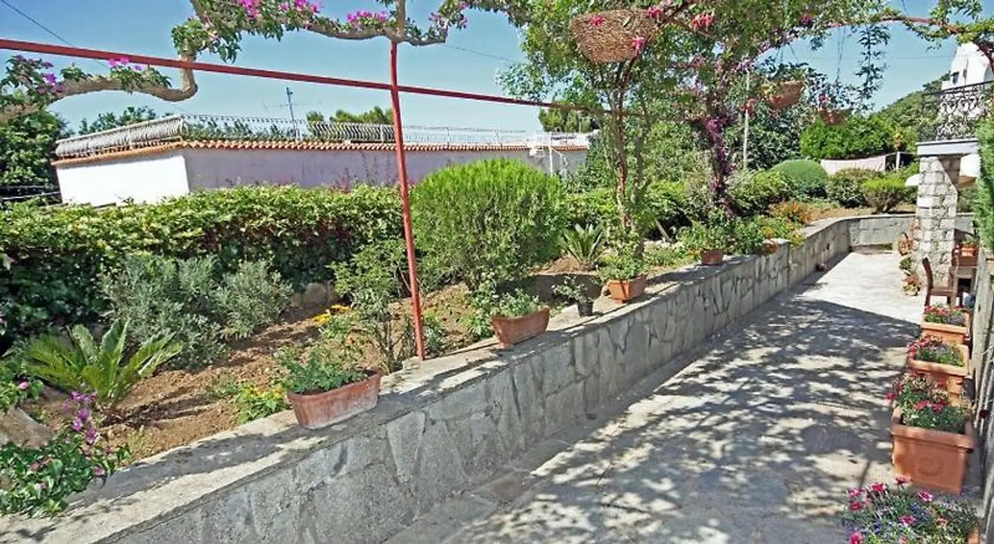 Cavalluccio Marino LANDSCAPE