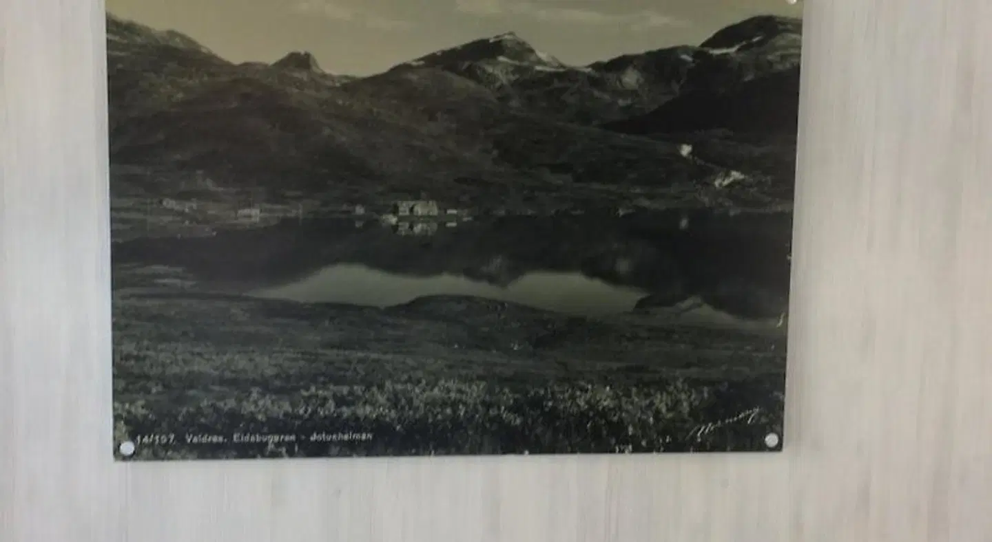 Mjøsvang Cabin LANDSCAPE