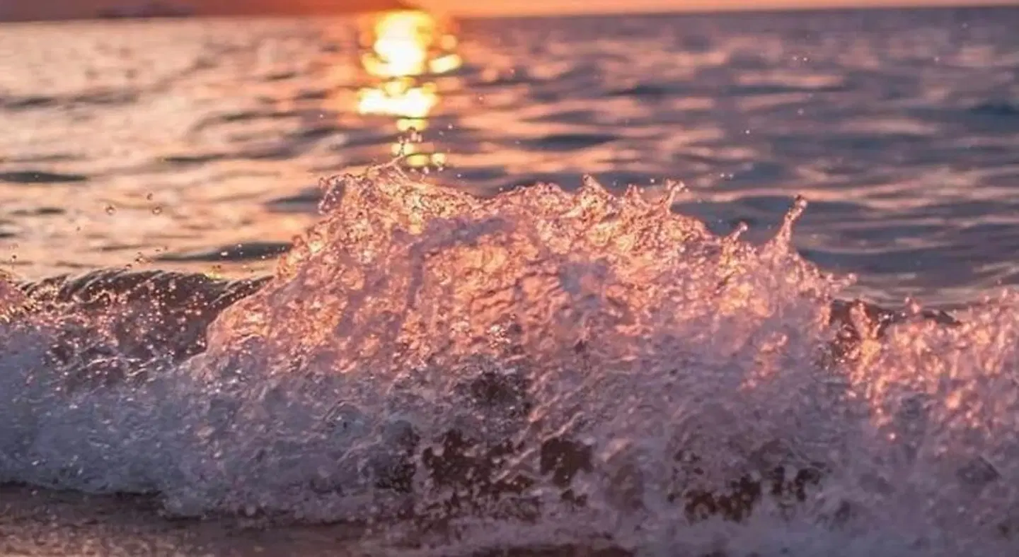 Sea Pearl Luxury Apartments LANDSCAPE