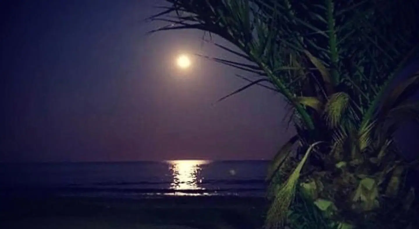 Sea Pearl Luxury Apartments SPORTS_AND_LEISURE