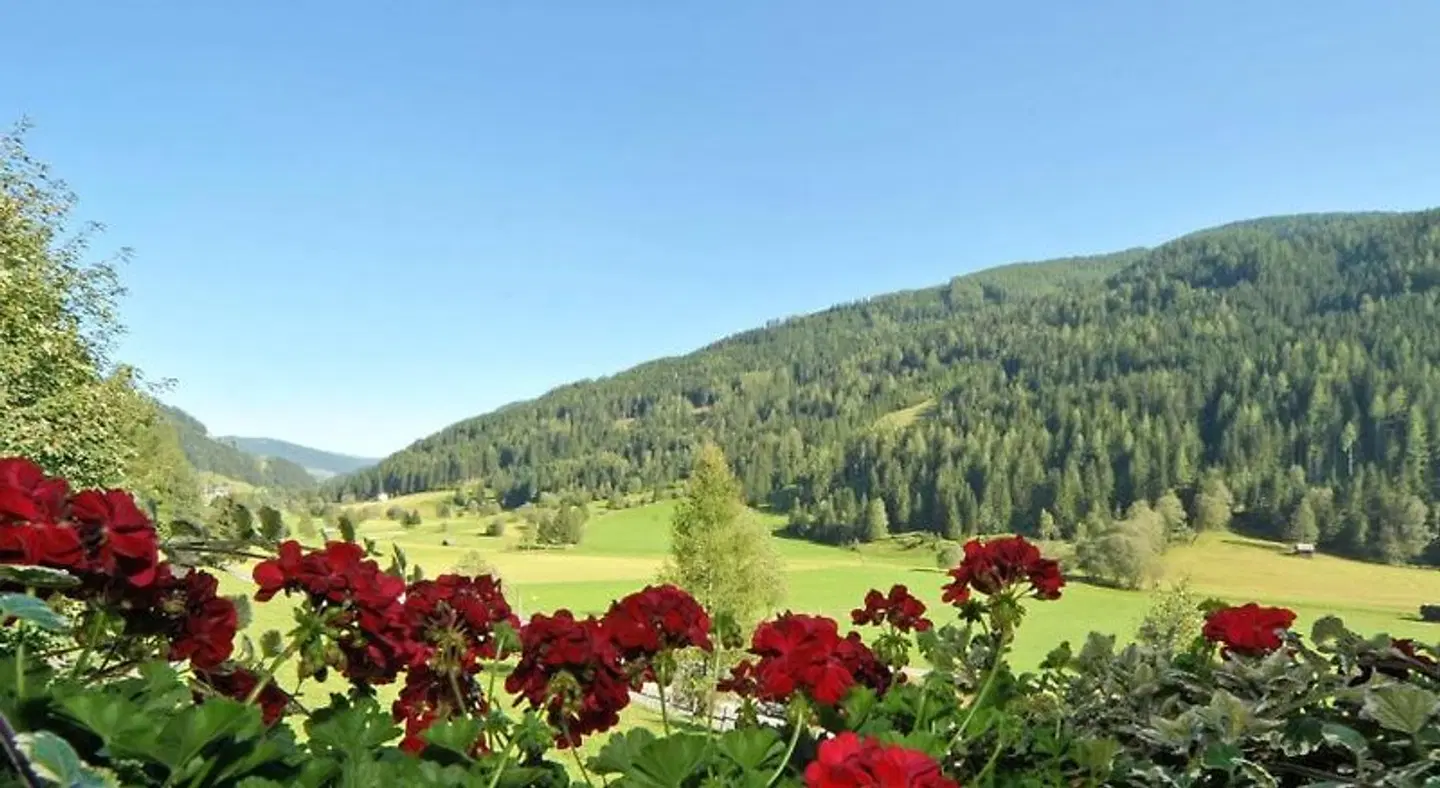 Haus Lindenkreuz LANDSCAPE