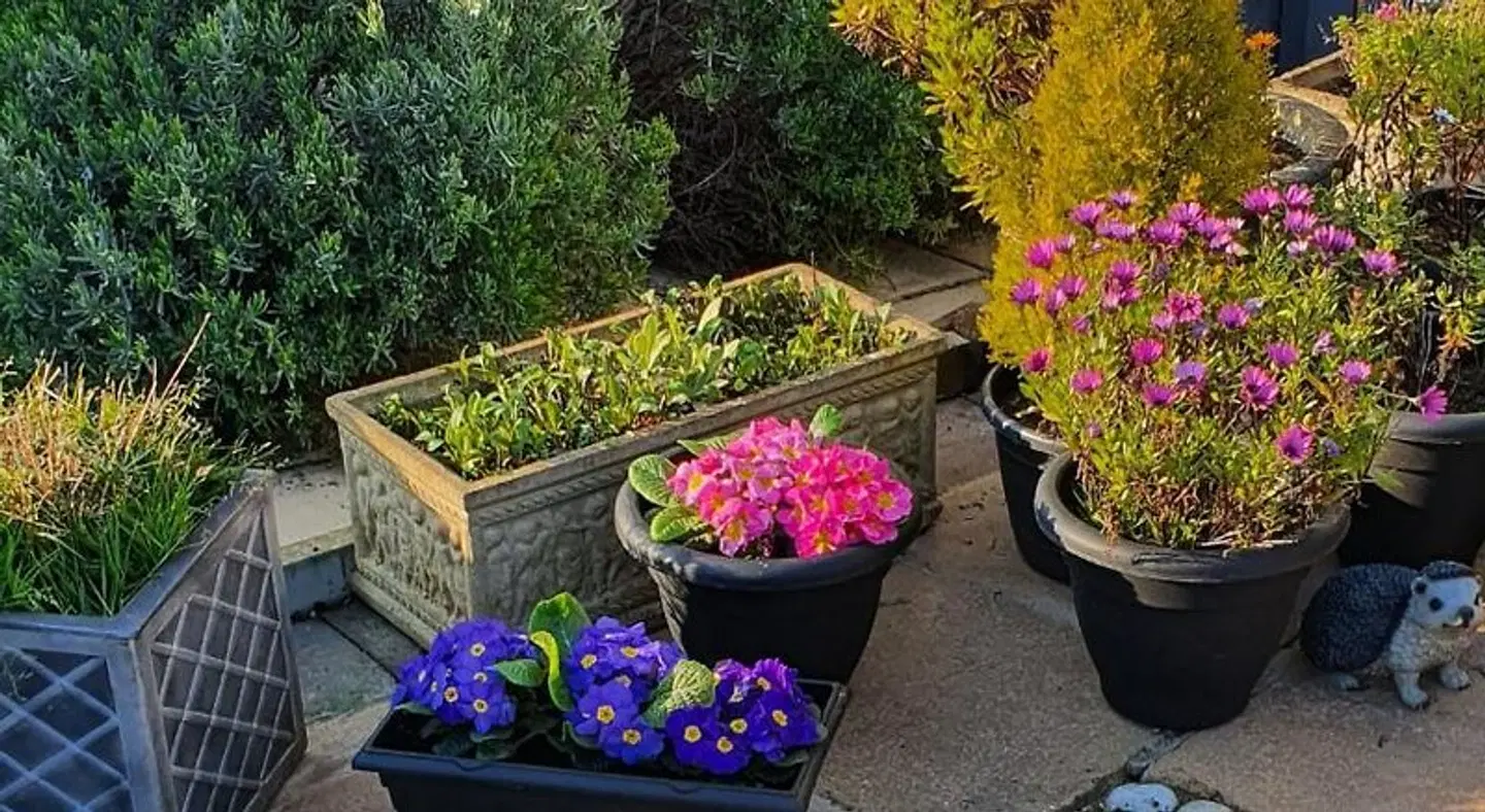 The Aldor Terrasse