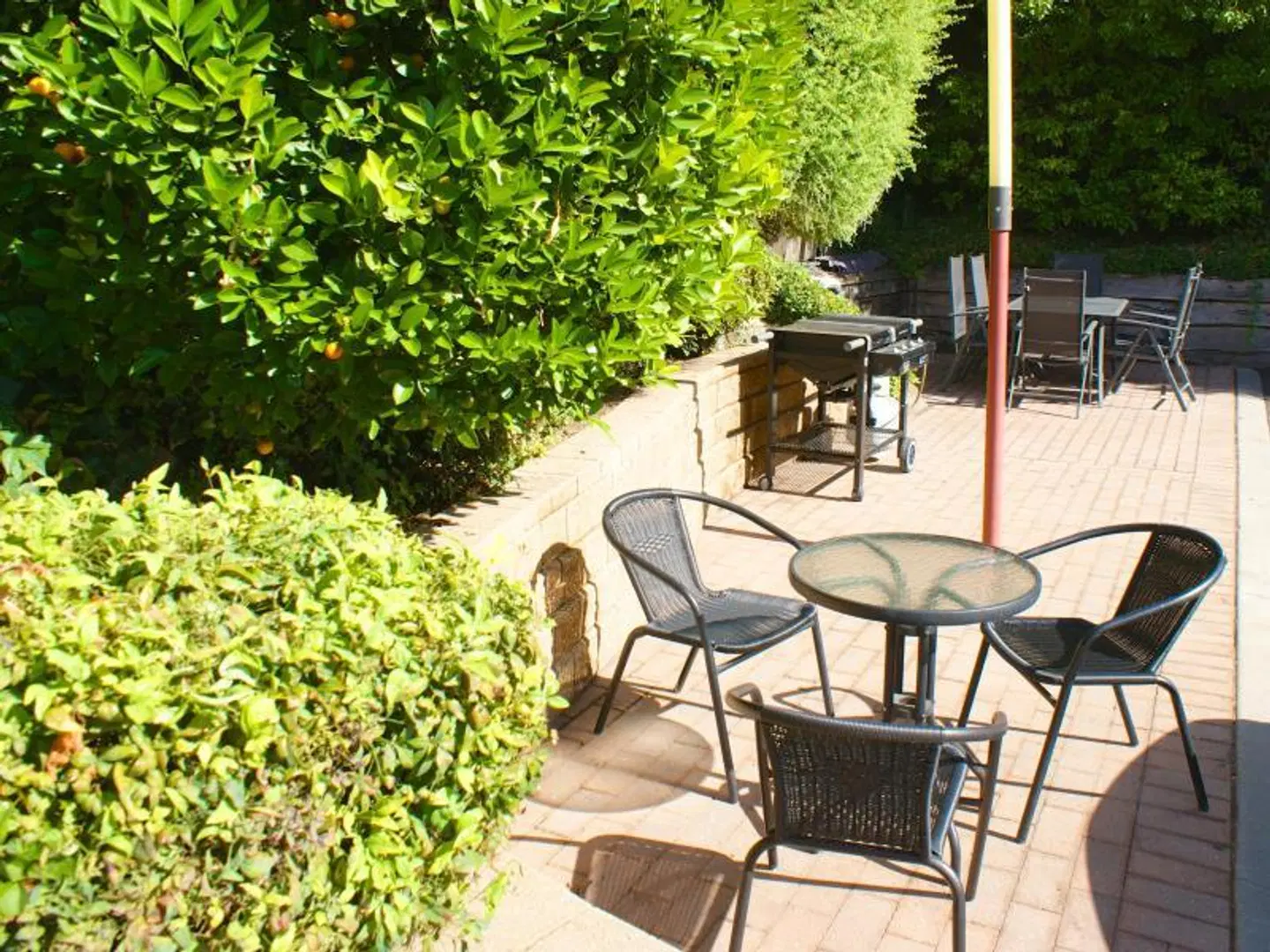 Best Western Cathedral Motor Inn Terrasse