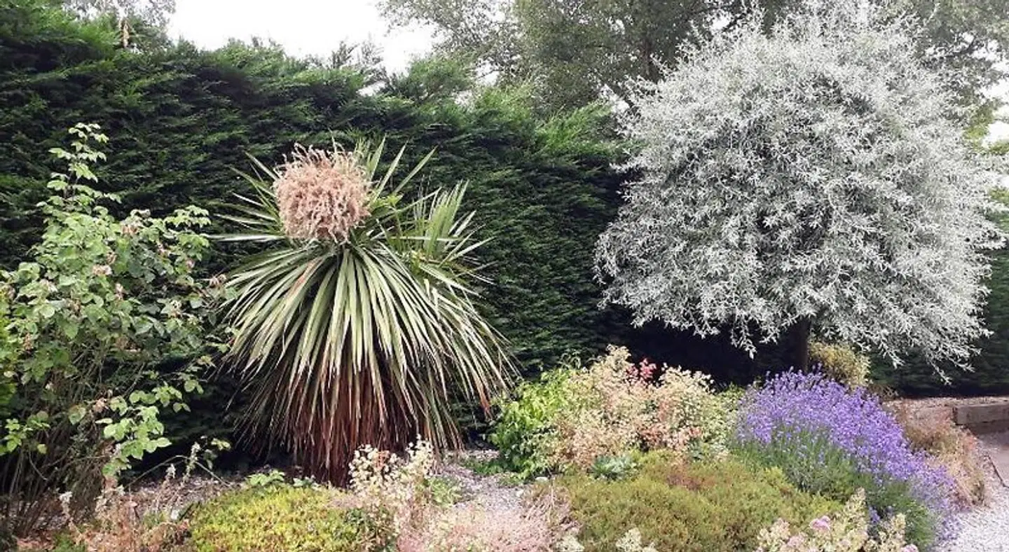 Stoneleigh Barn Bed and Breakfast Garten