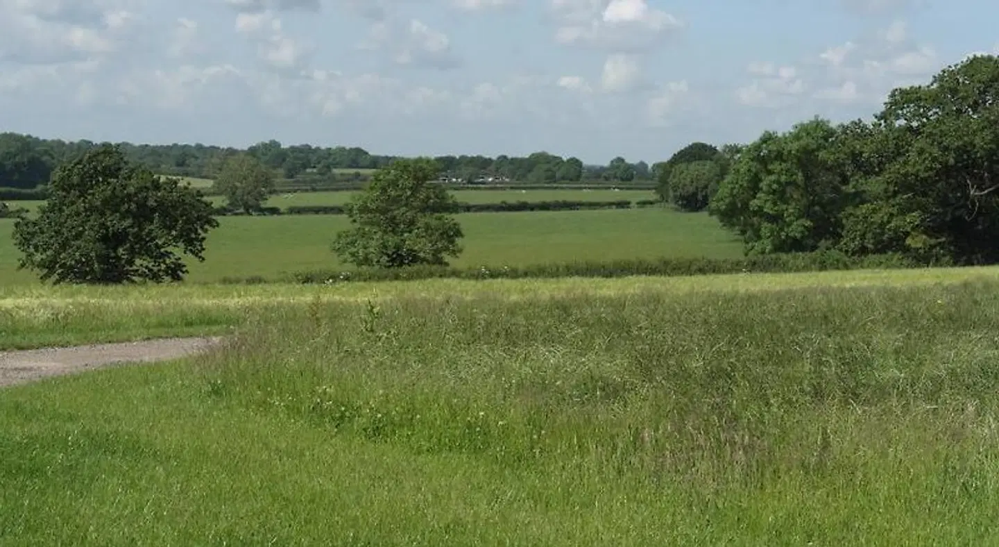 Handley Barn LANDSCAPE
