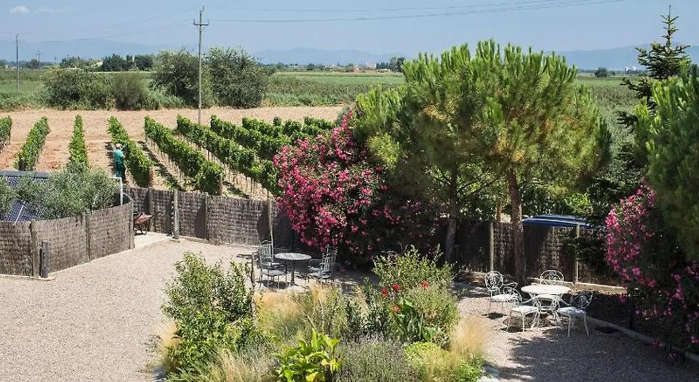 Boutique Hotel Can Pico Garten