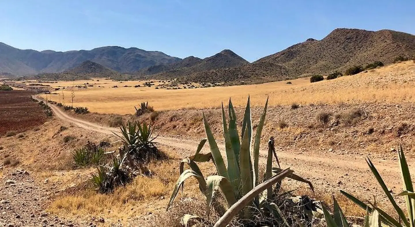 CaSabah LANDSCAPE