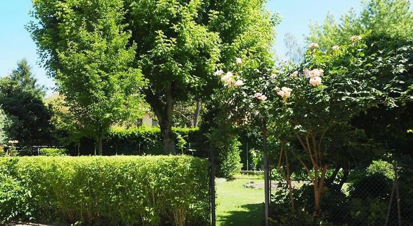 R&B Giardino 34 Garten