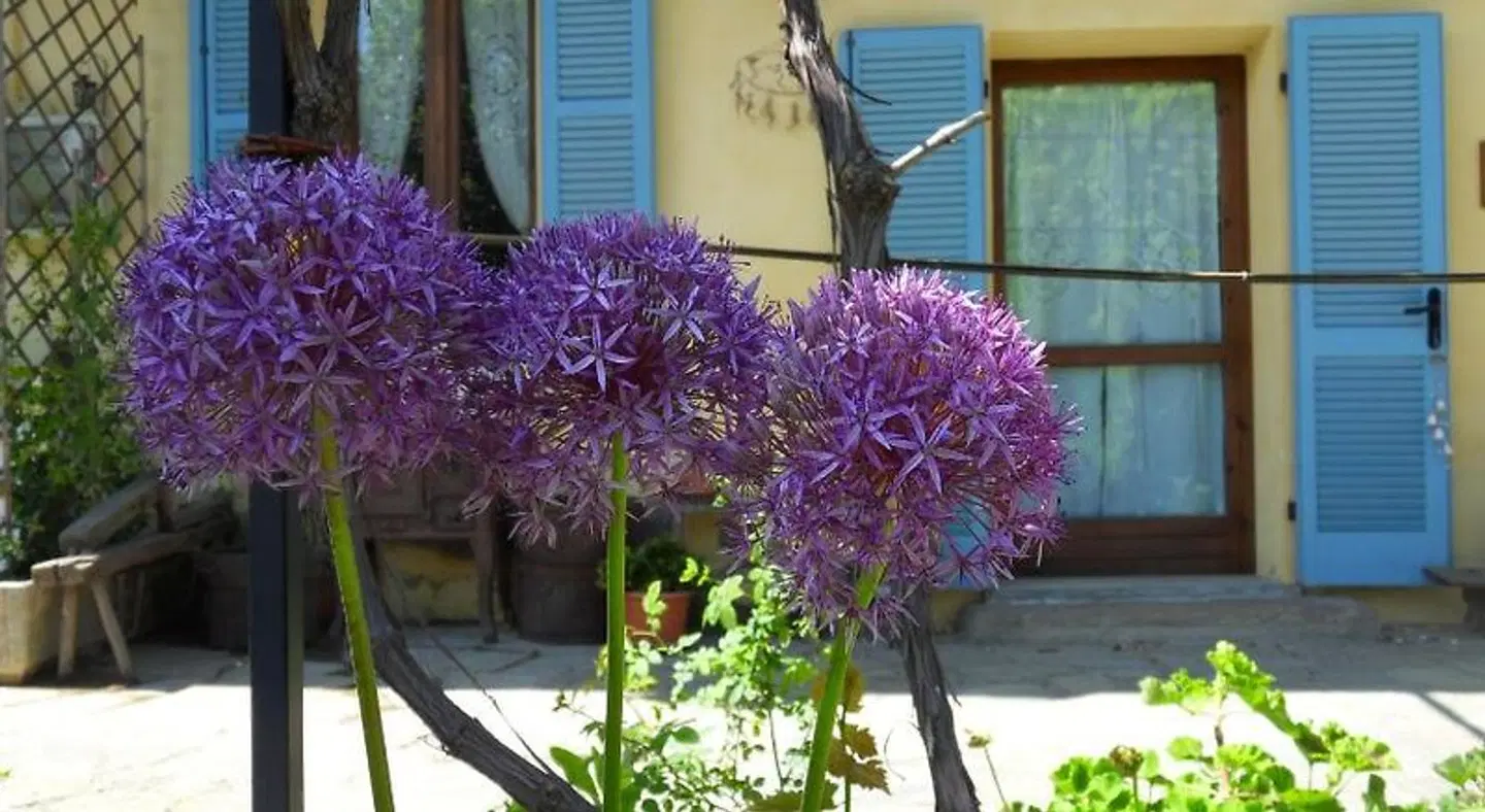 B&B Cascina Marie EXTERIOR