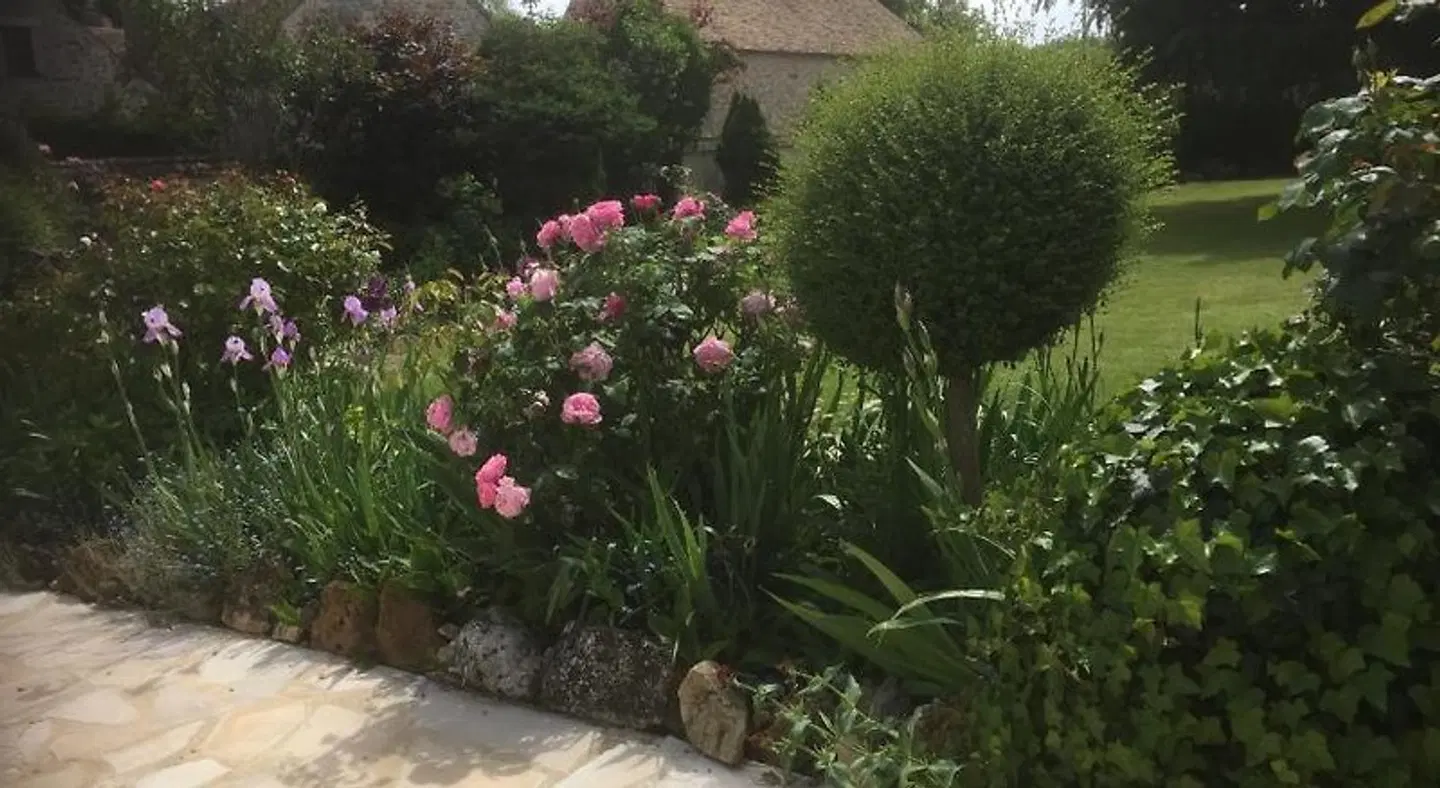 Les Prémices De La Forêt Garten