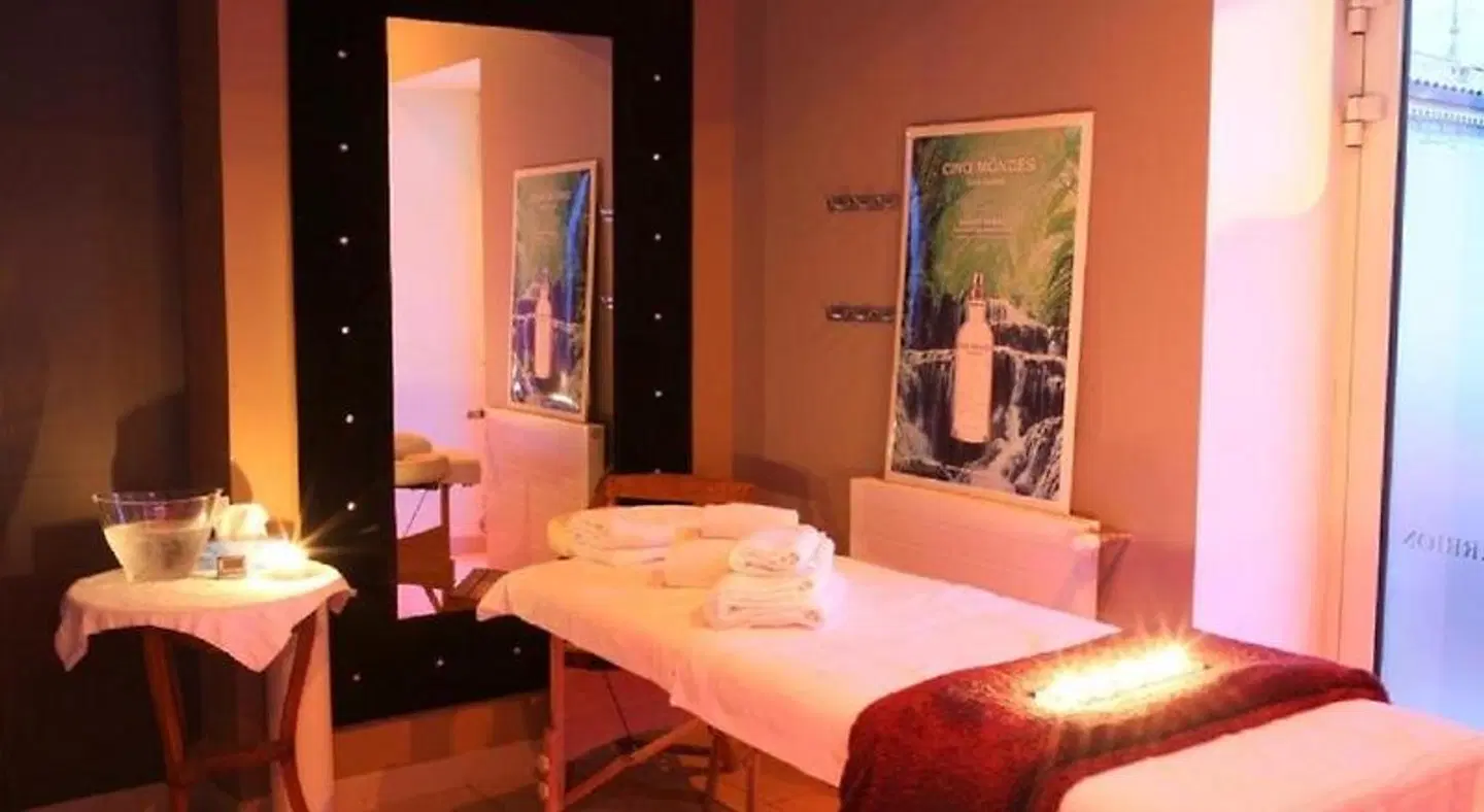 Hotel Spa Restaurant Frédéric Carrion ROOM_EXAMPLE