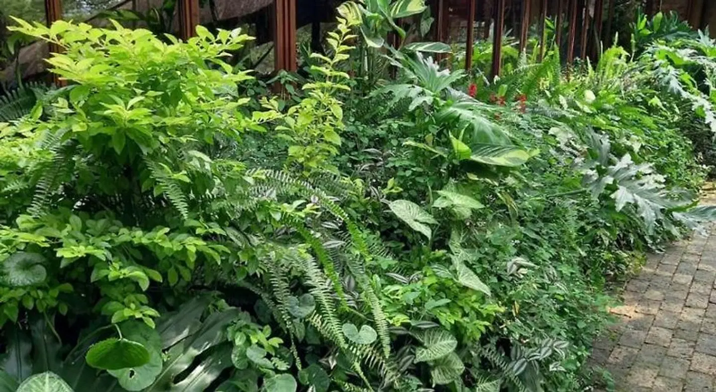 Ascot Bush Lodge Garten