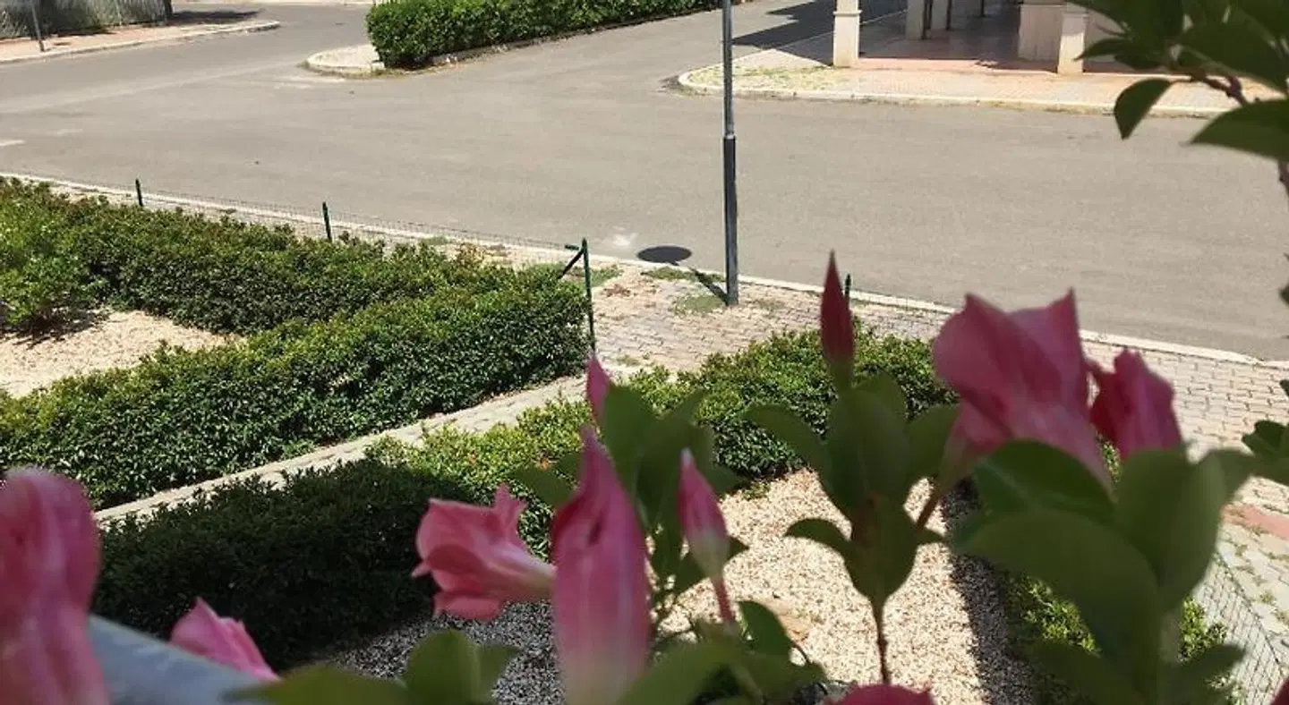 Pensione Afrodite Garten
