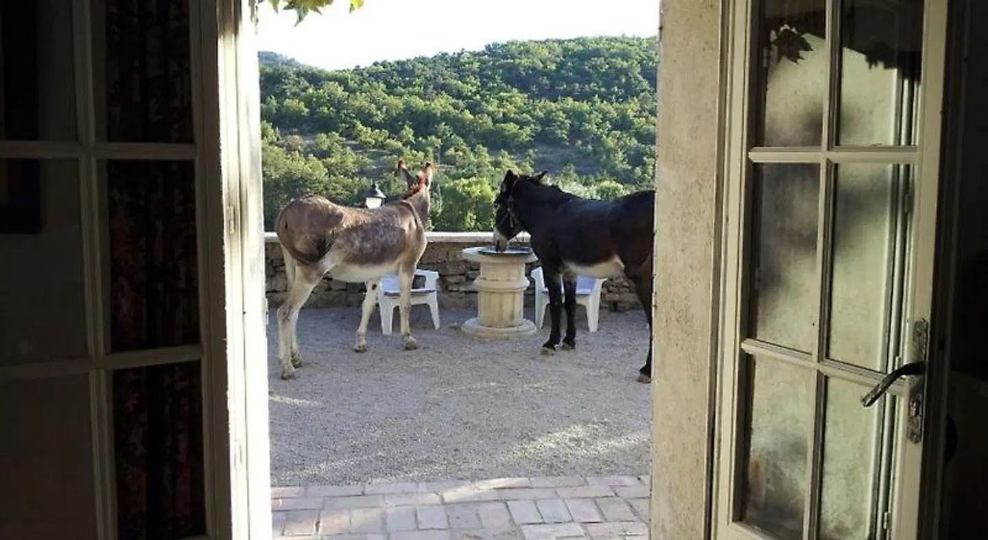 Le Côté d'Elle Tiere