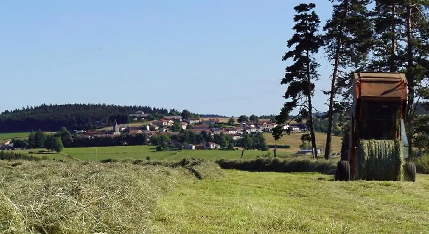 Logis Auberge des Myrtilles LANDSCAPE