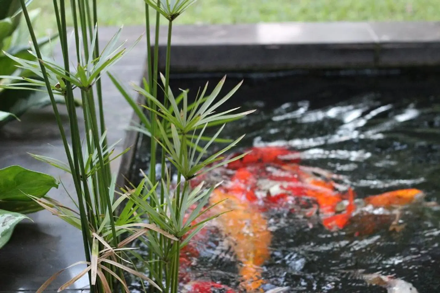 Ecolux Boutique Hotel Tiere