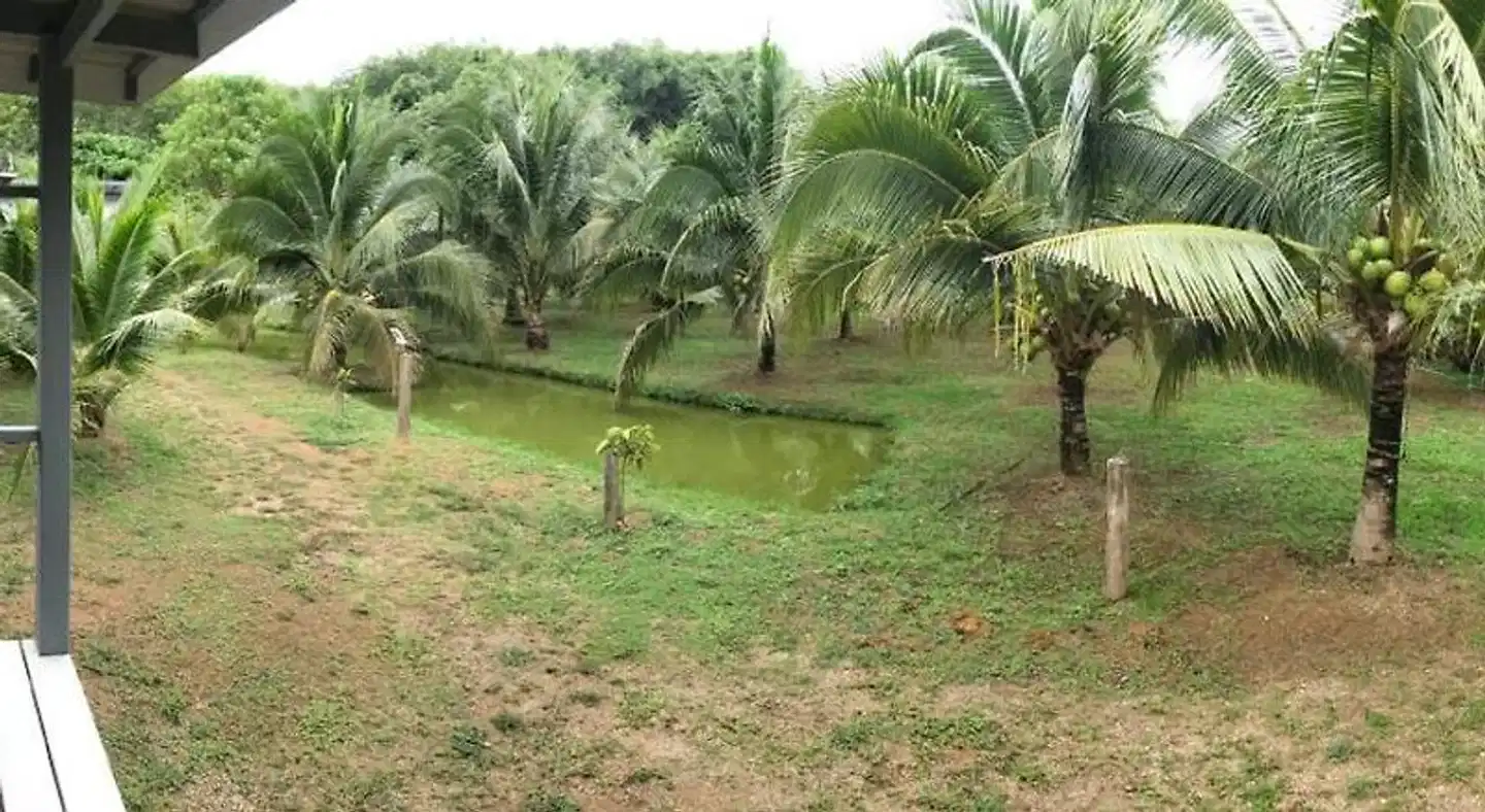 Baan Suan Coconut Ko Yao Noi Garten