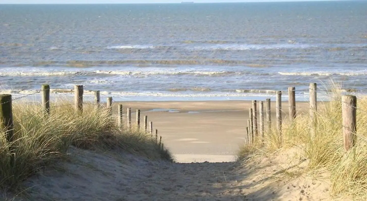 Mol Strand