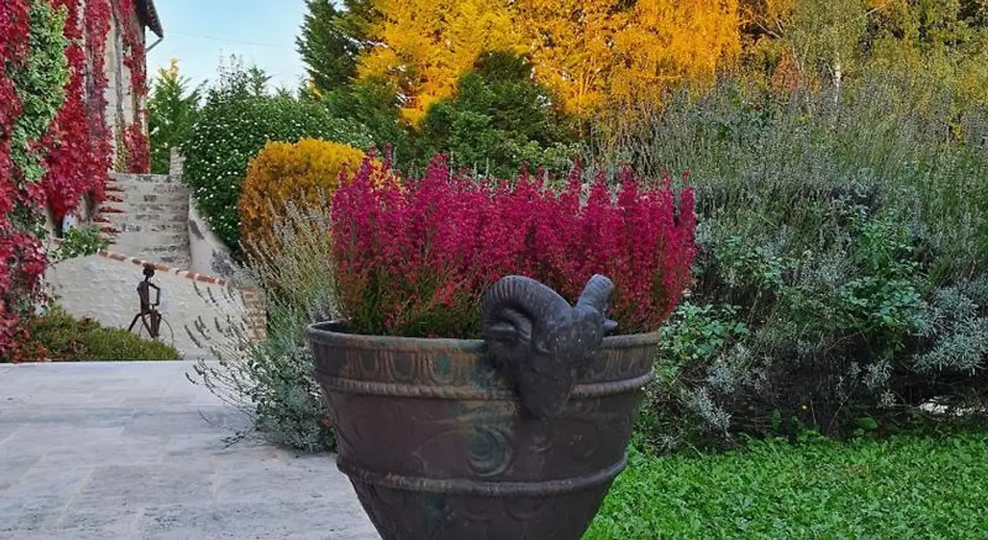 Domaine de la Blonnerie Terrasse