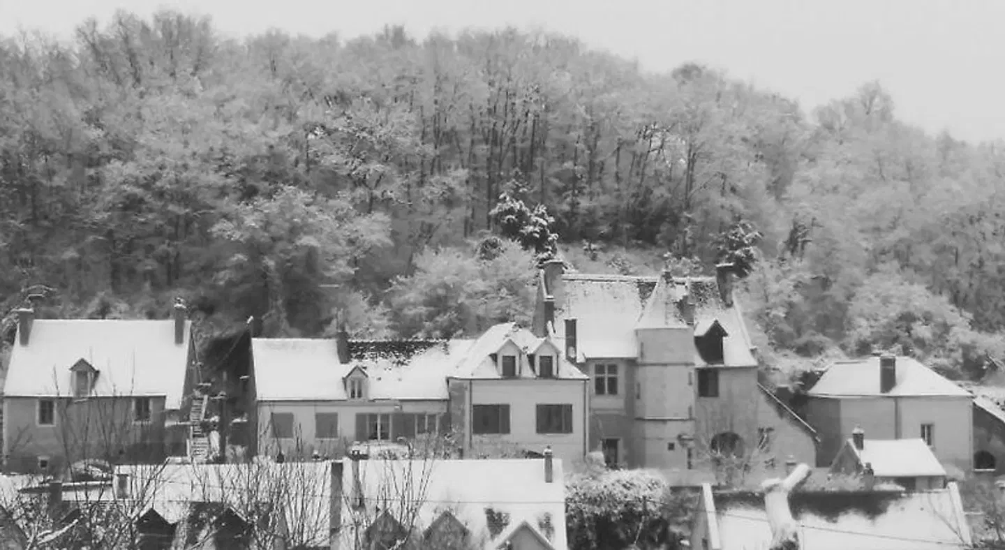 Manoir des Roches 41 EXTERIOR