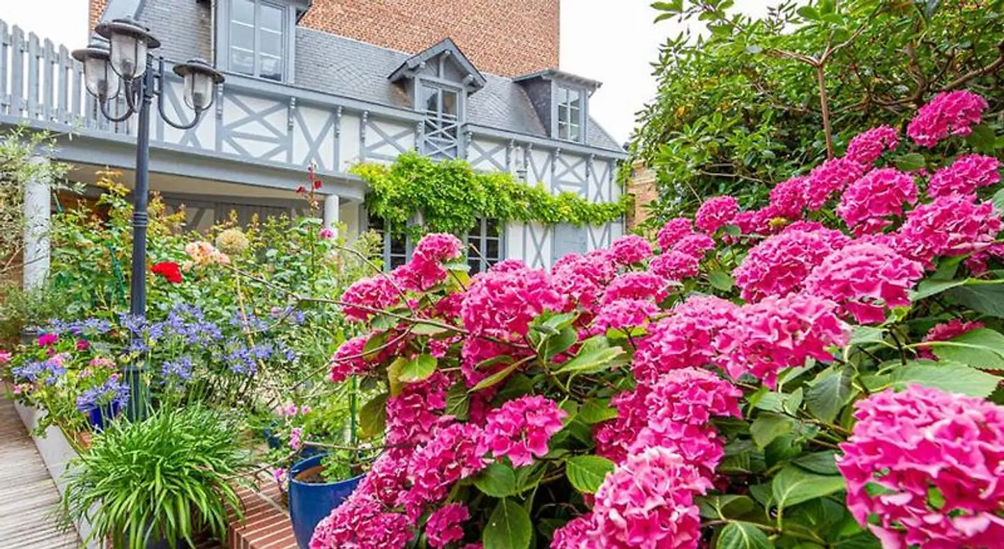 Maison Longuevie Garten