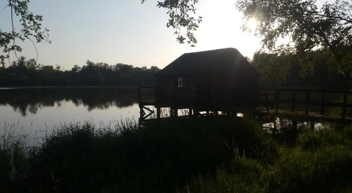 Au Cocon de Sologne LANDSCAPE