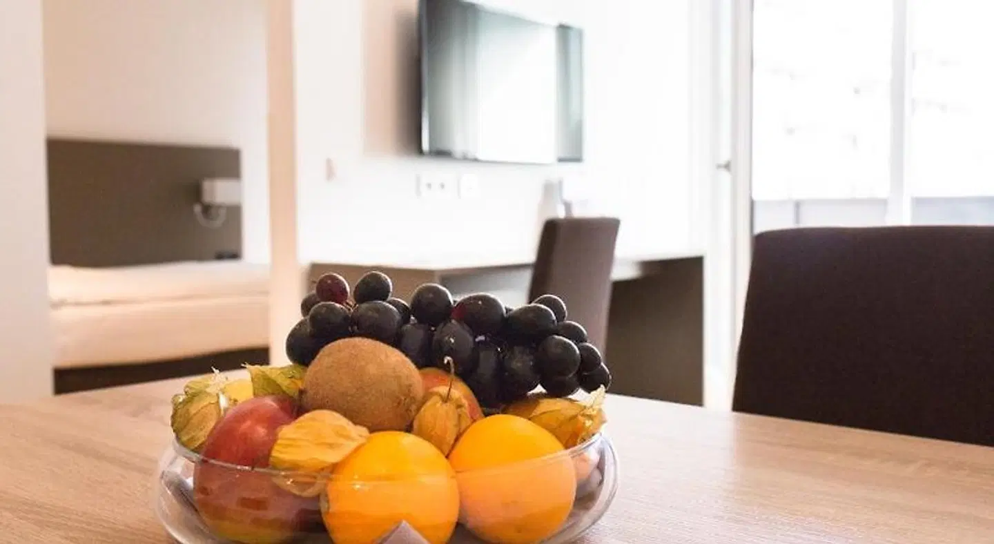 Vitus Steyr Hotel & SPA Suites ROOM_EXAMPLE