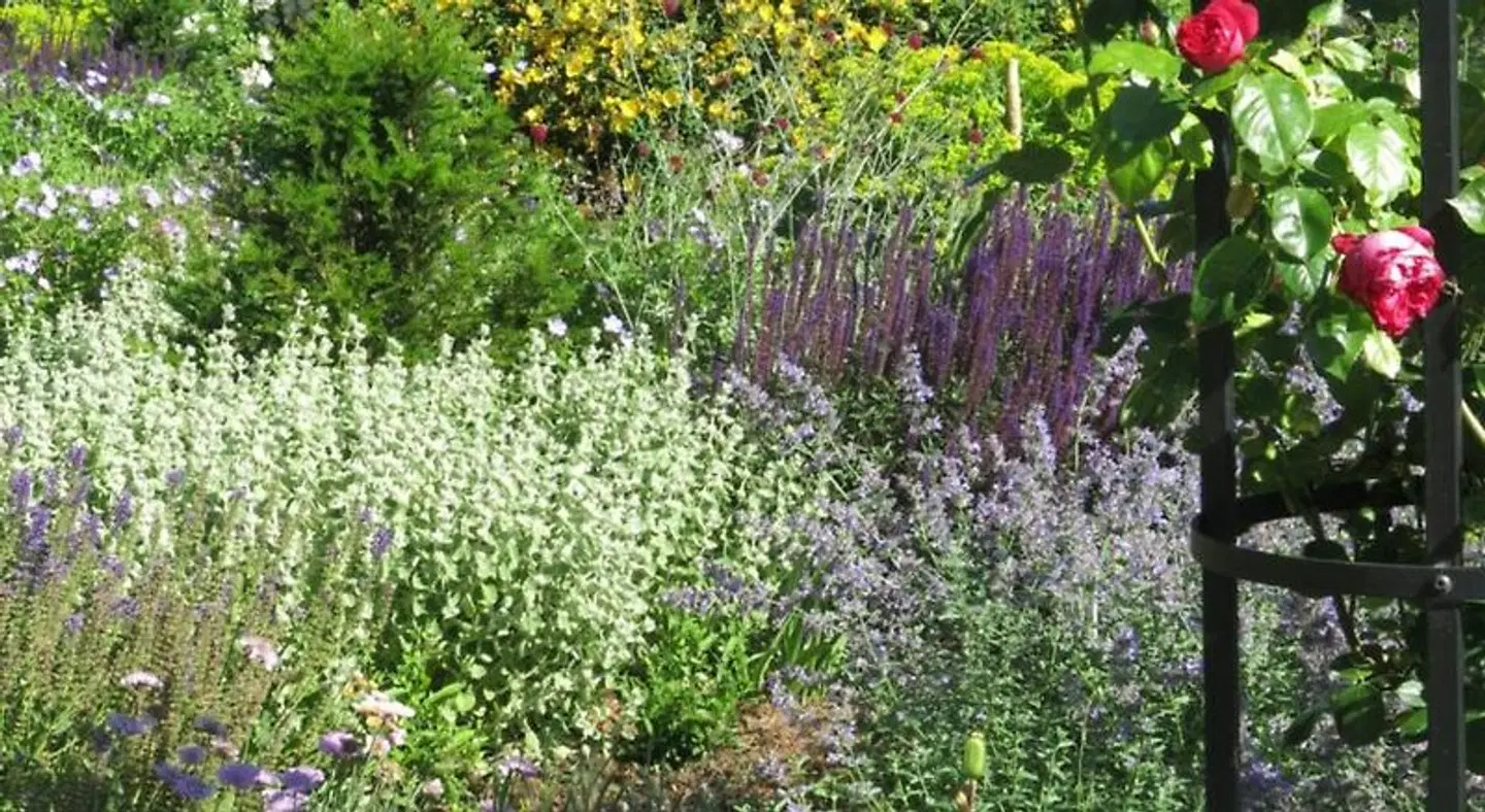 Manoir de Beauregard - Cunault LANDSCAPE