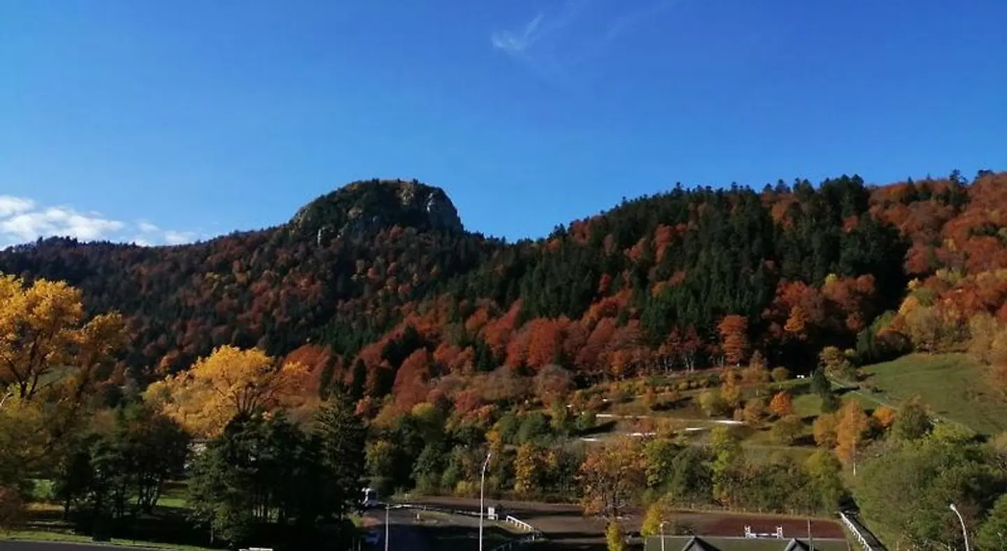 Hotel Les Mouflons LANDSCAPE