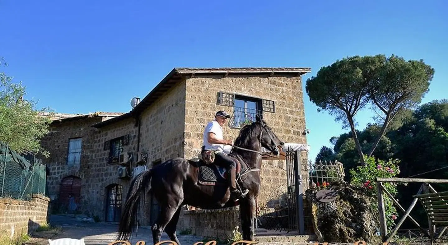 Le Terrecotte Tiere