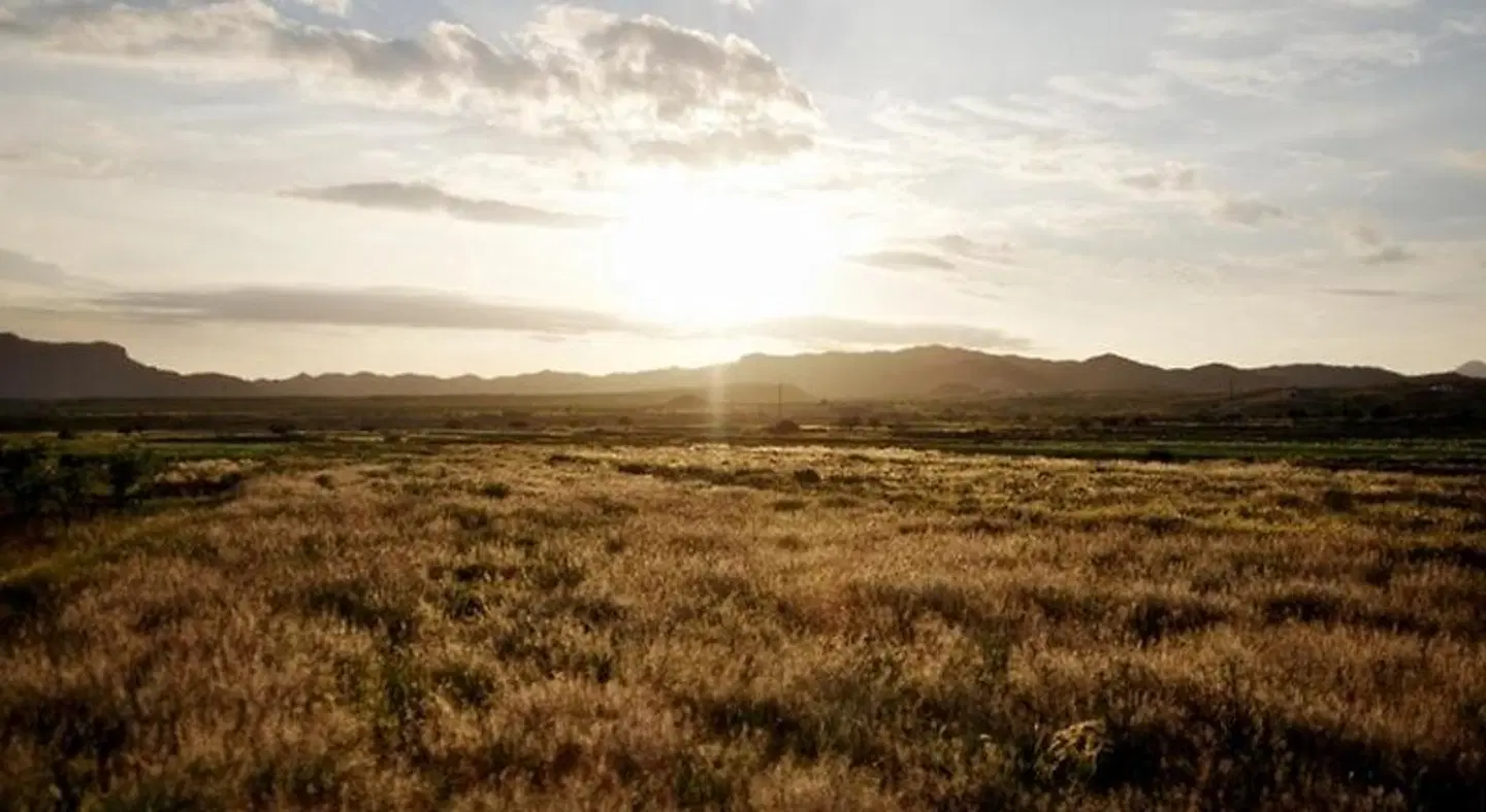 Casa Rural Aloe Vera LANDSCAPE