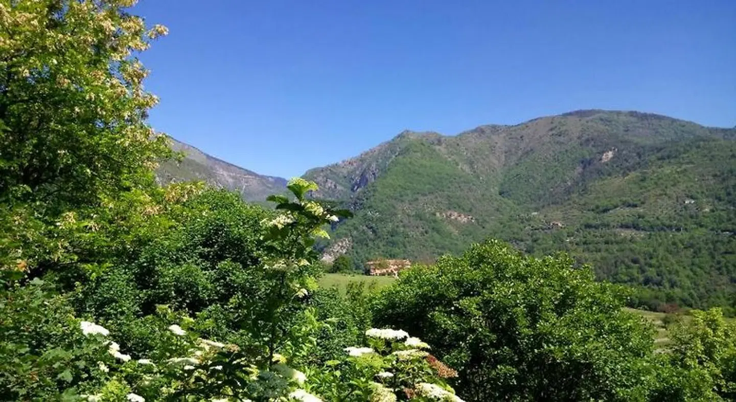 Domaine du Parais B&B LANDSCAPE
