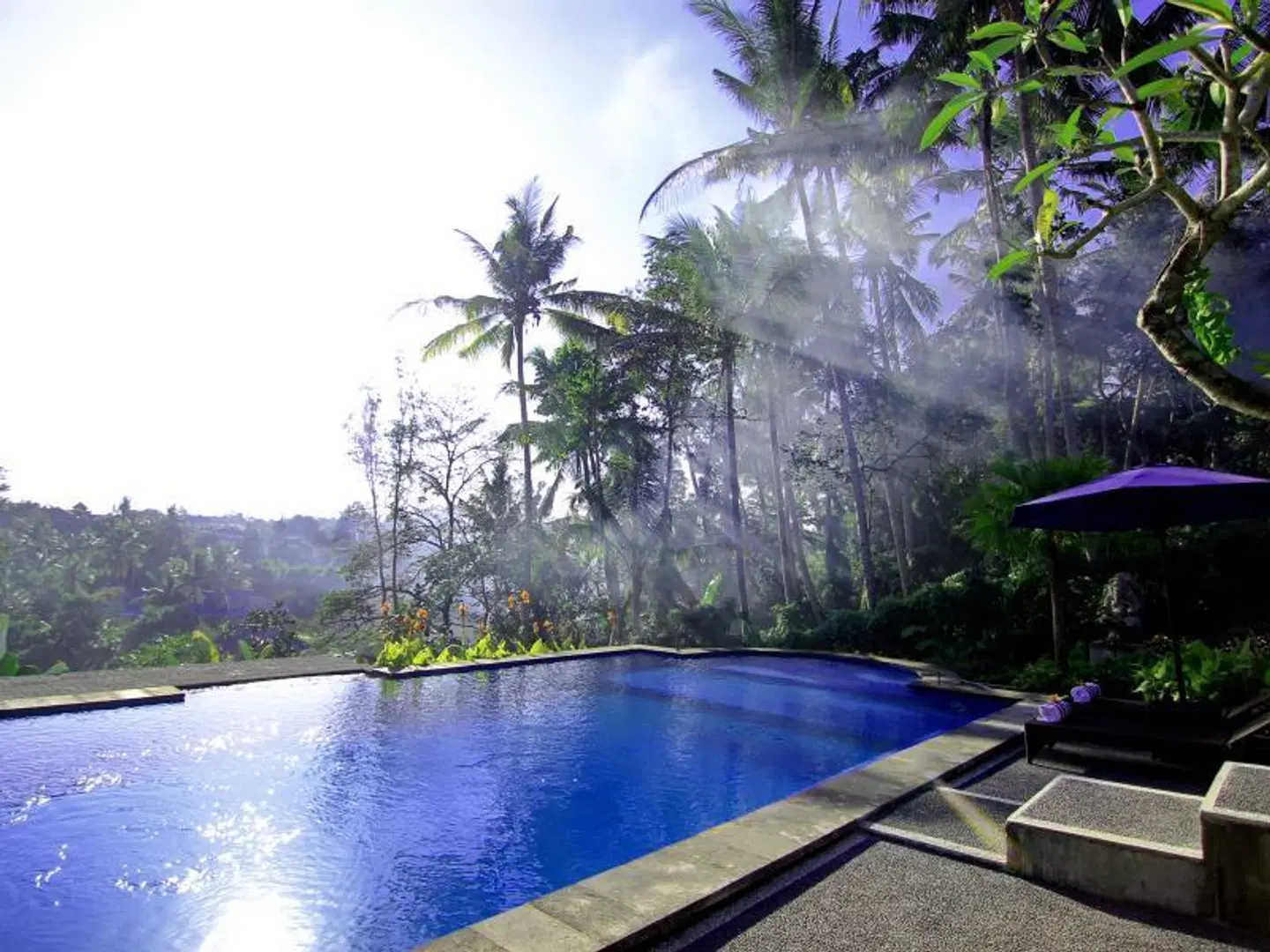 Villa Capung Mas Ubud OUTDOOR_POOL