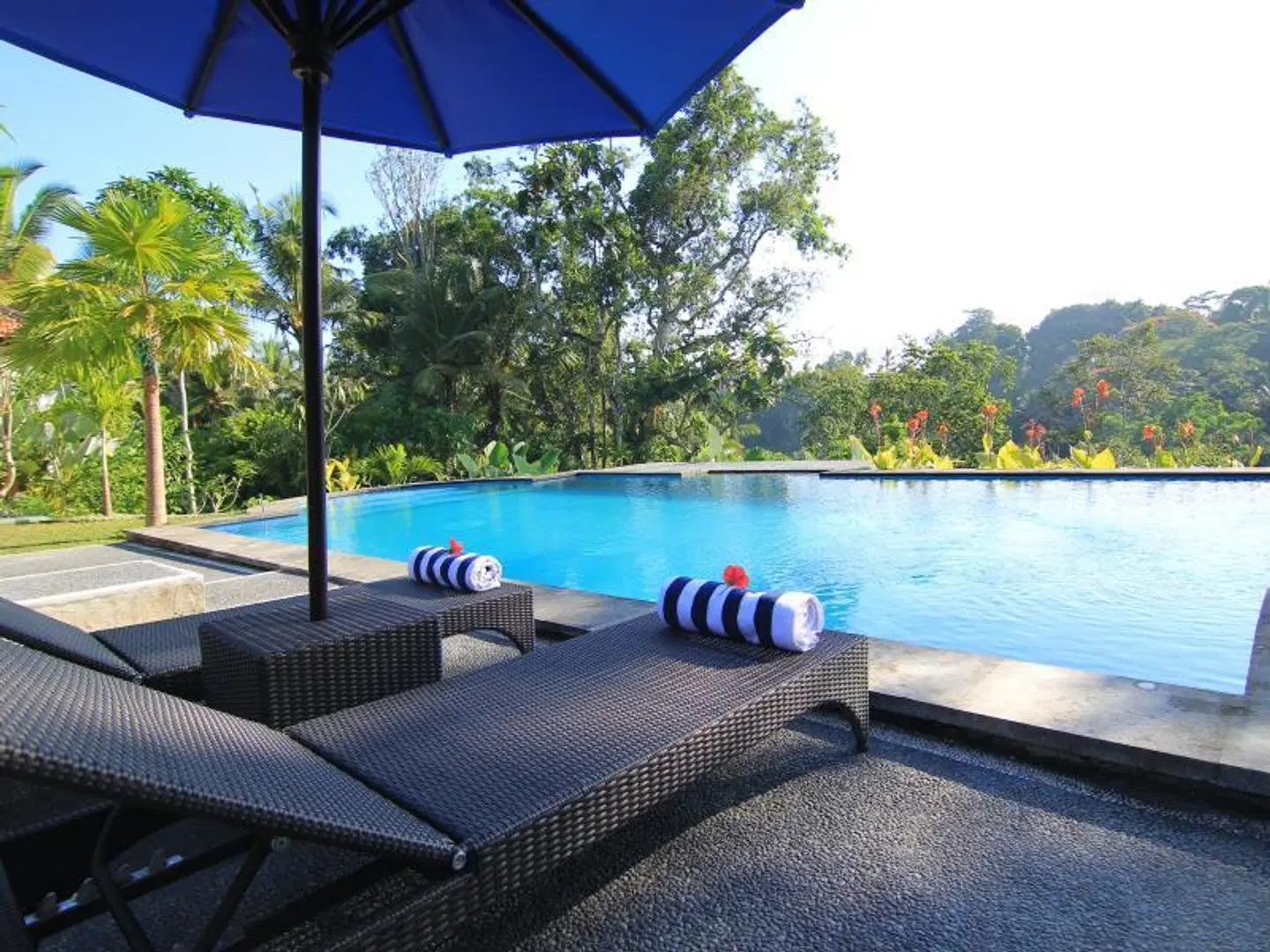 Villa Capung Mas Ubud OUTDOOR_POOL