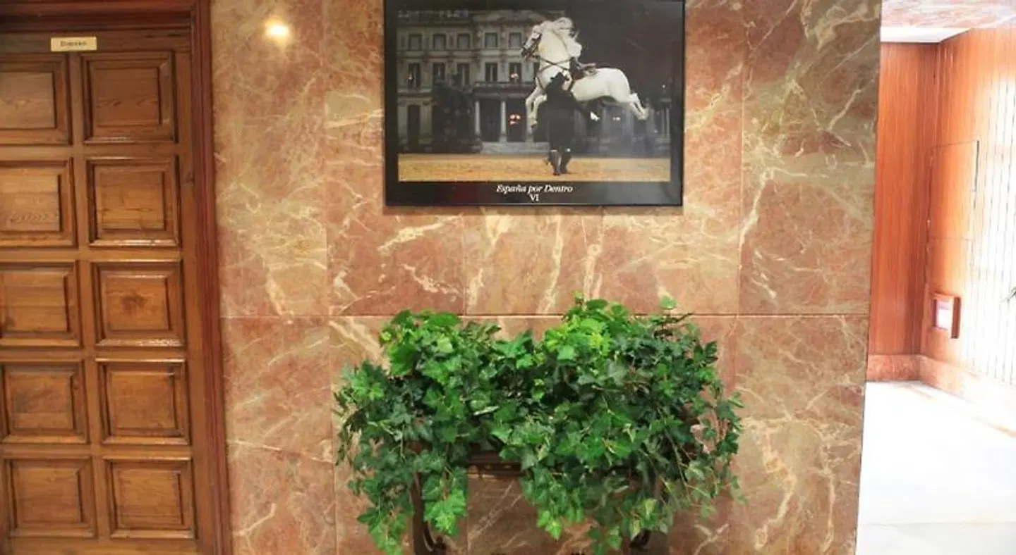 El Coloso LOUNGE_LOBBY