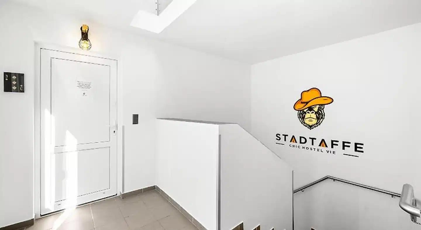 Stadtaffe - Chichistel VIE Wohnbeispiel
