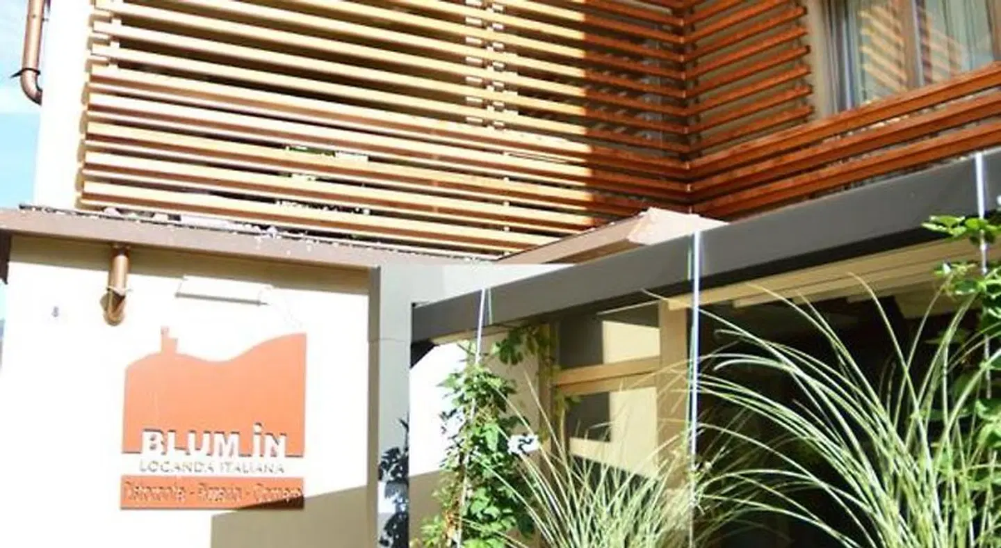 Blum In Terrasse