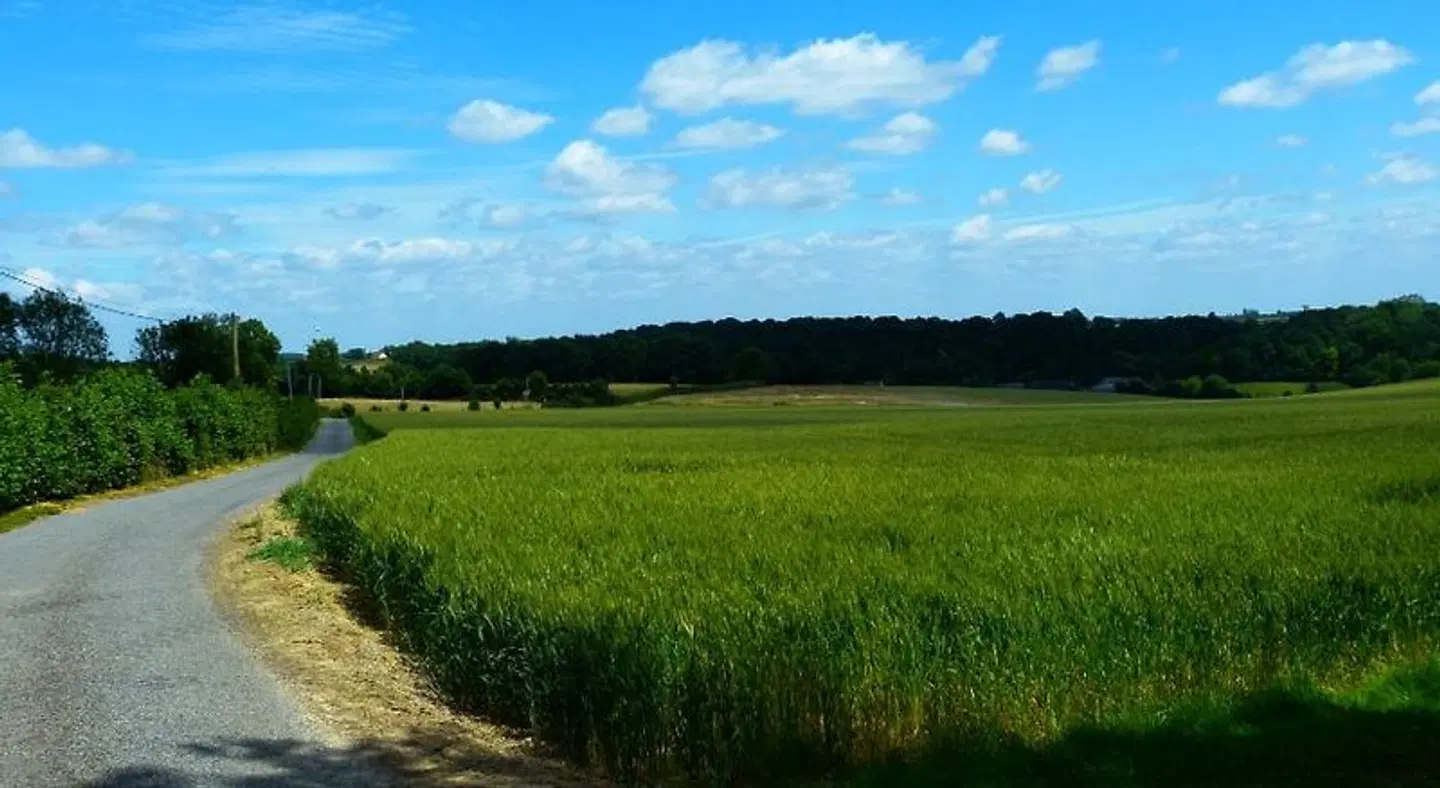 Le Petit Verger LANDSCAPE