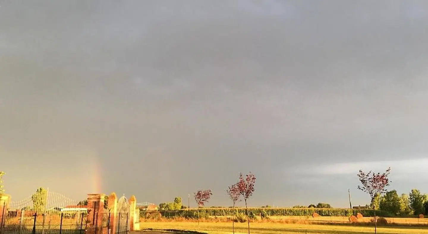 B&B Il Mio Gelso LANDSCAPE