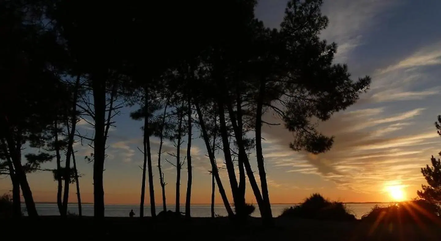 Bleuvelours LANDSCAPE