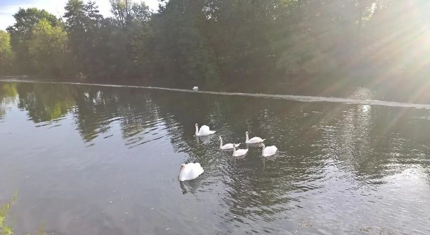 Les Rives de l'Isle Tiere
