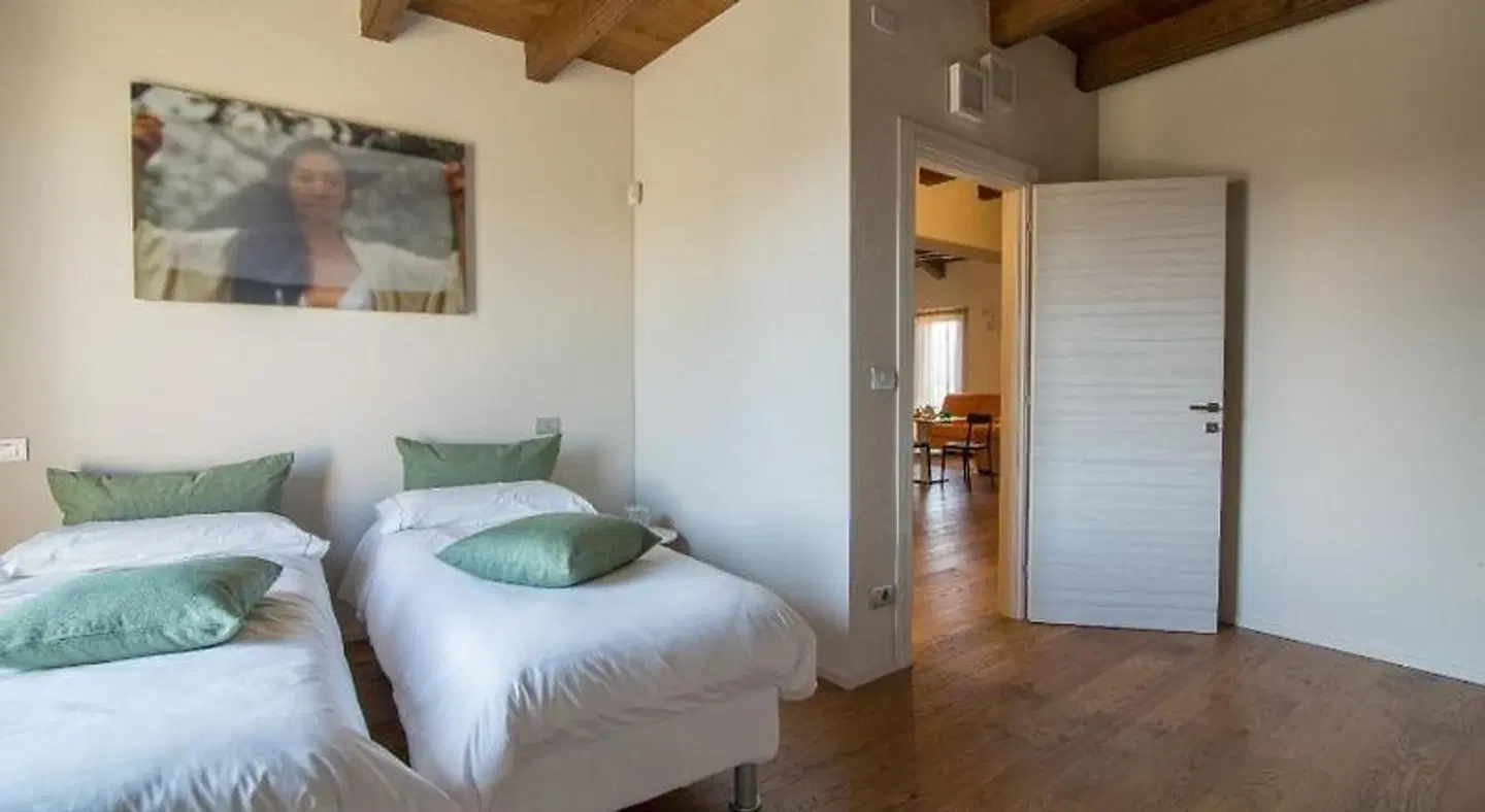 IN VIRIDI ROOM_EXAMPLE