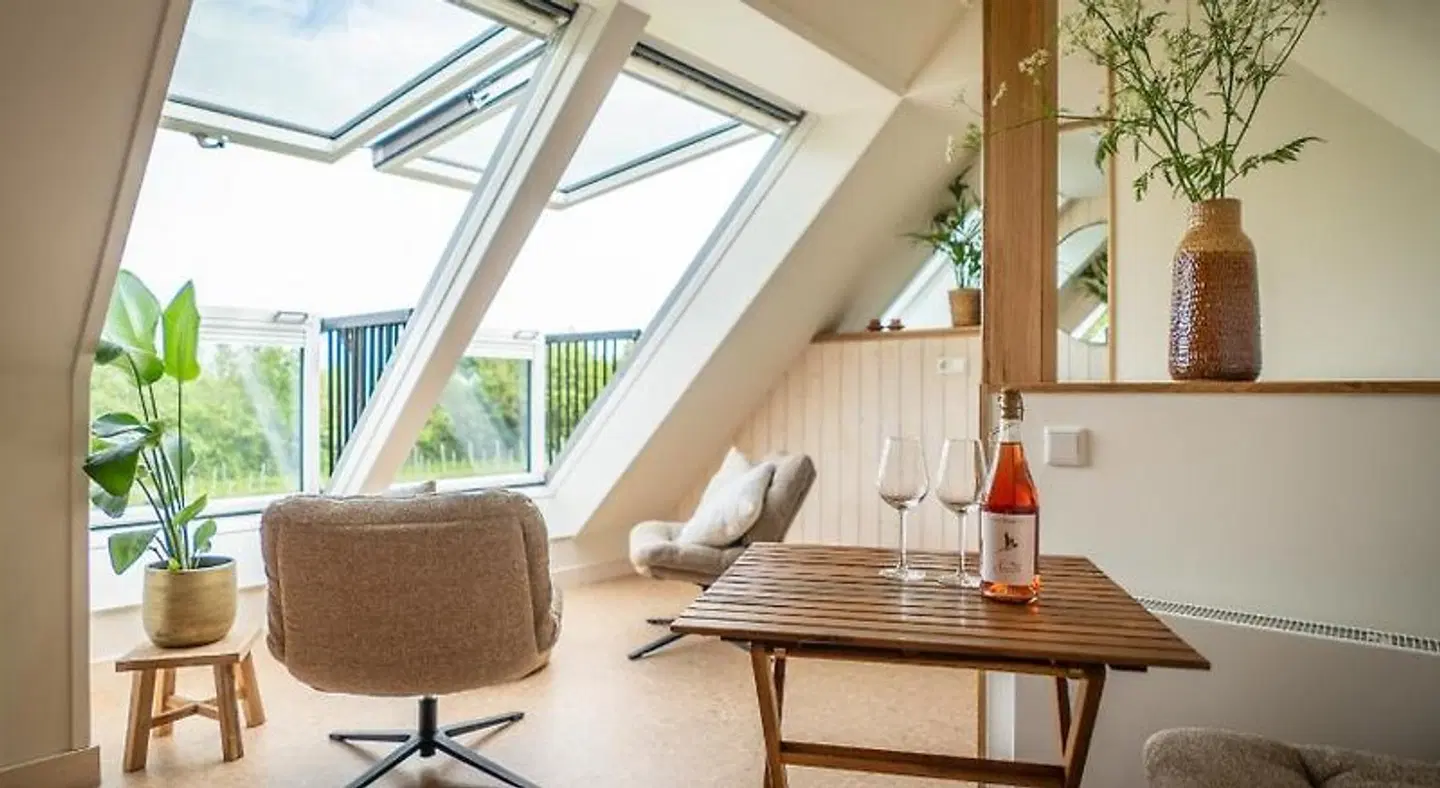 Wijngaard de Kroon van Texel Terrasse