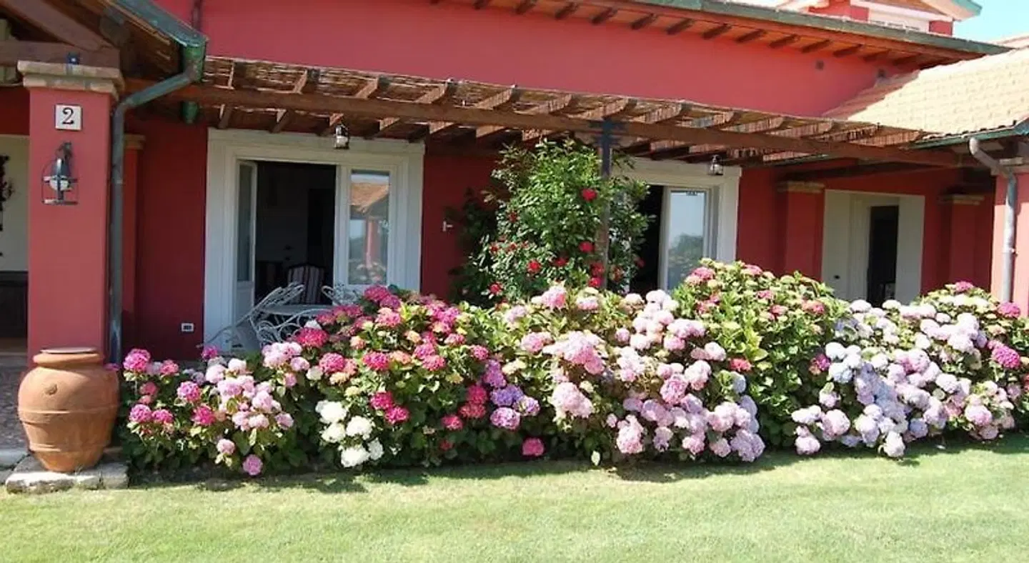 La Pecora Ladra EXTERIOR
