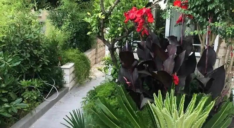 House Filomena – Hotelfoto