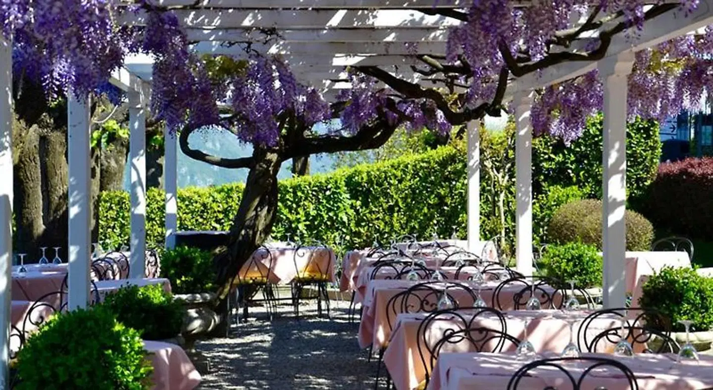 Hotel Florence Tiere