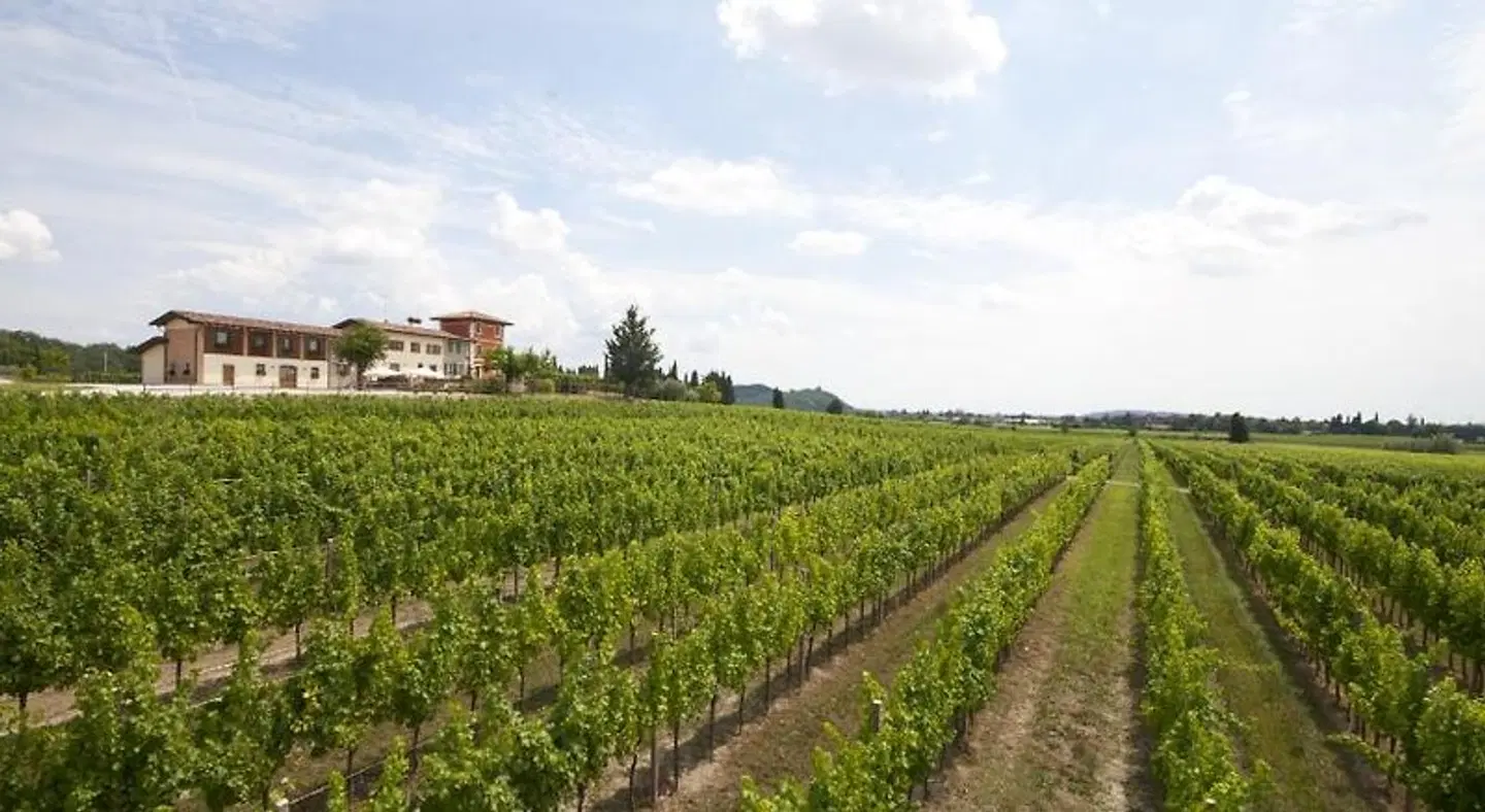 Alloggio Agrituristico CORTE SAN BIAGIO LANDSCAPE